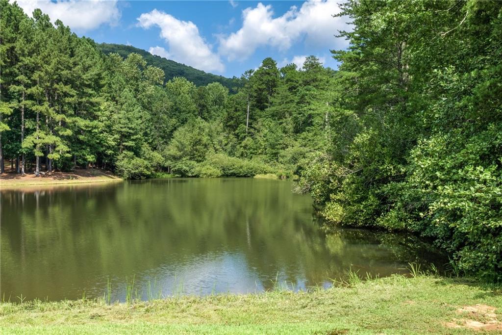 0 Golden Lane Clarkesville, GA 30523 - Photo 11 of 11 a view of lake