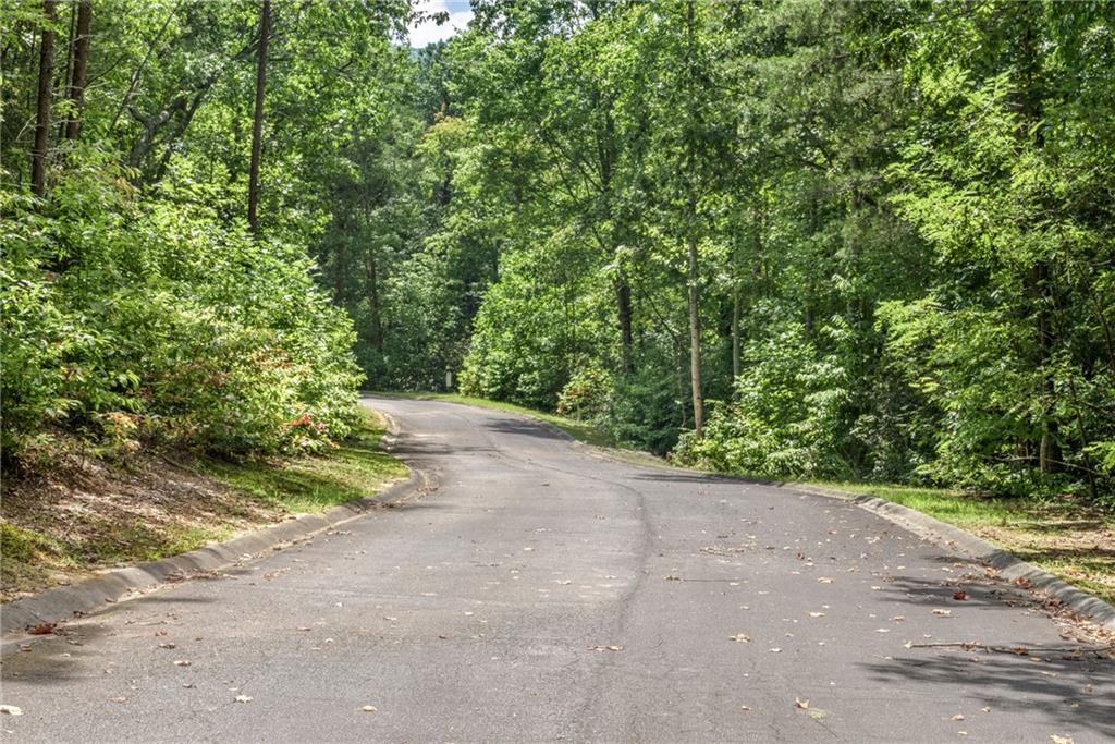 0 Golden Lane Clarkesville, GA 30523 - Photo 6 of 11 a view of a road with a yard