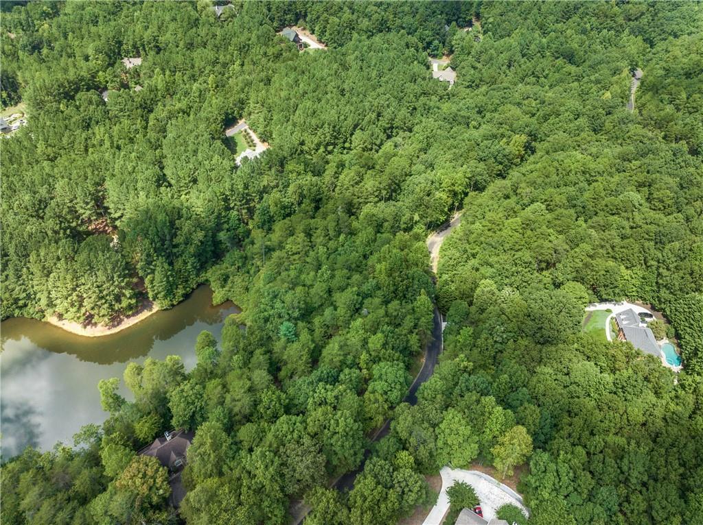 0 Golden Lane Clarkesville, GA 30523 - Photo 8 of 11 a view of a house with a lush green forest