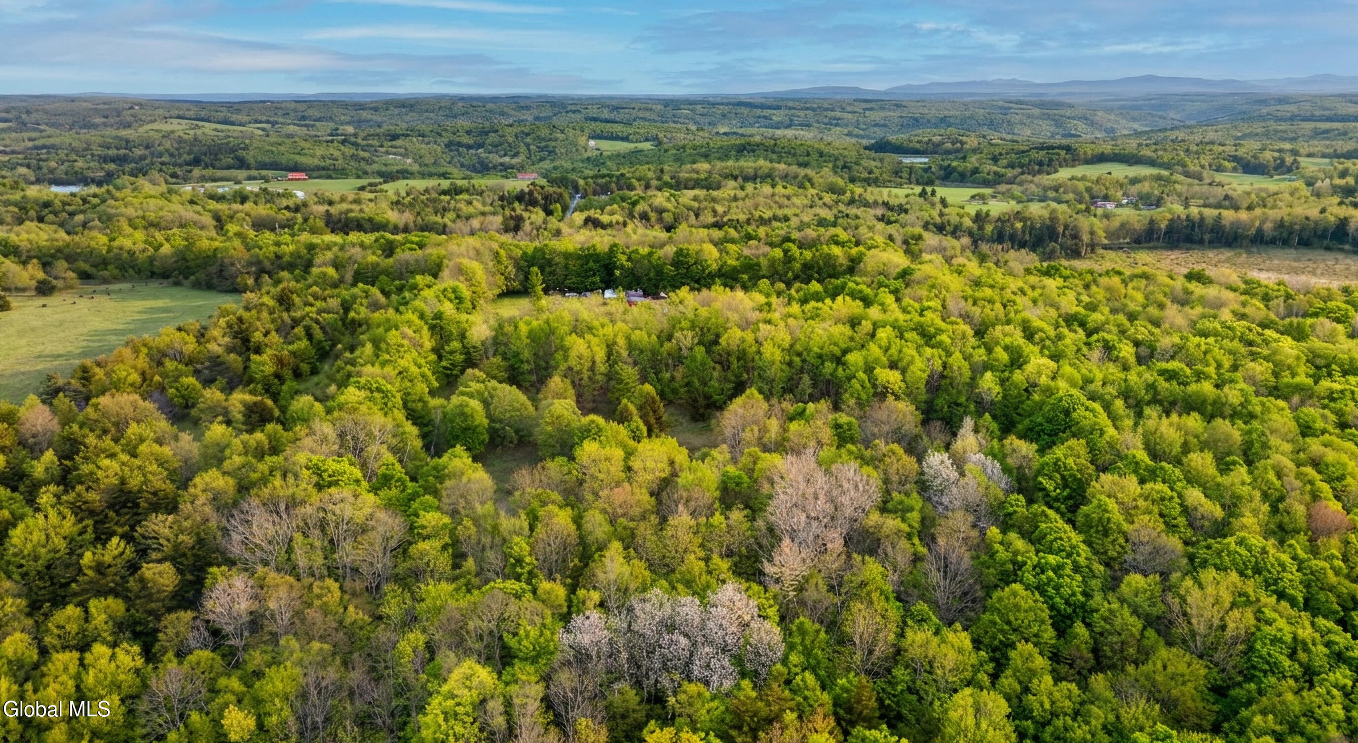 164 Zellner Road Summit, NY 12175 - Photo 96 of 102 164 Zellner Rd - Exterior-Camera-Drone-3