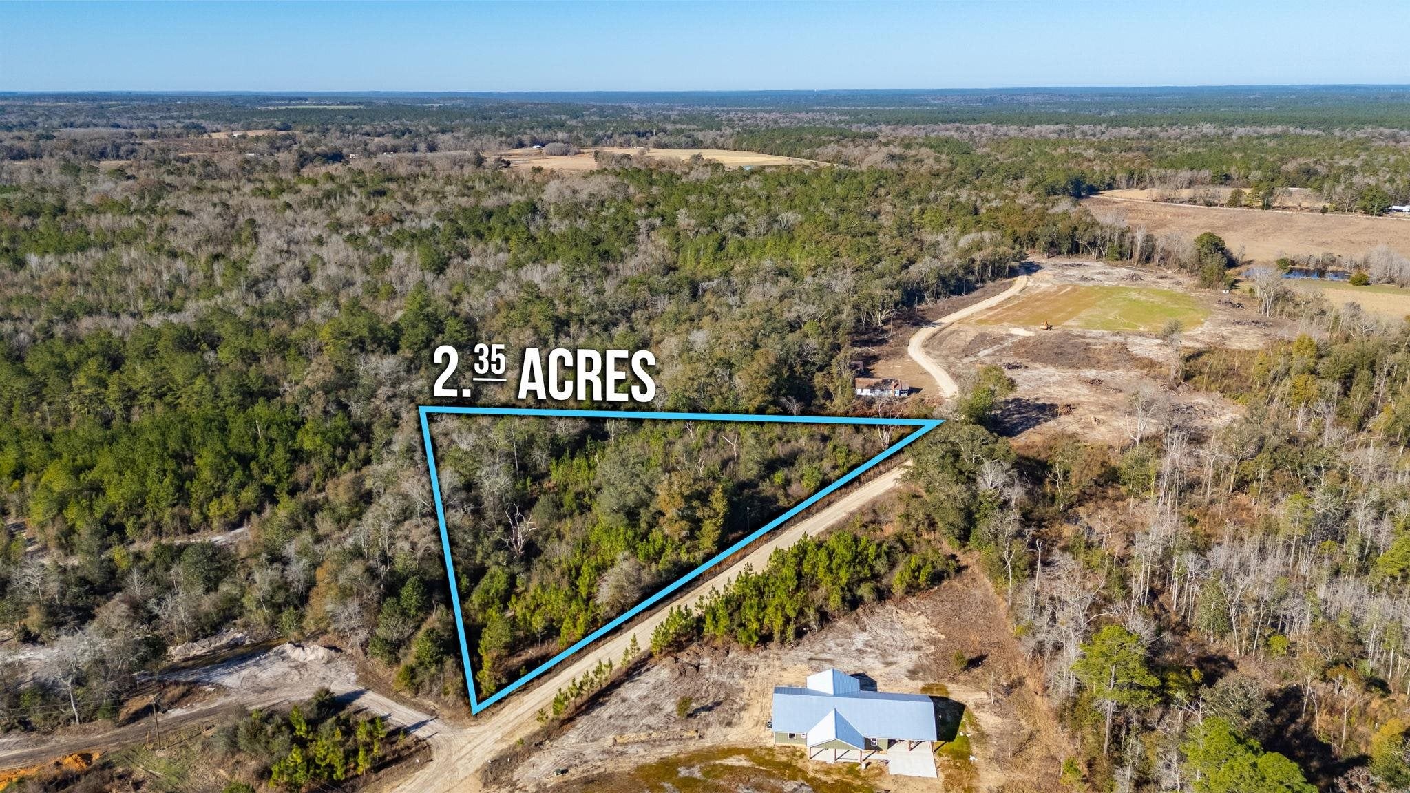 7555 Laird Road Florala, AL 36442 - Photo 3 of 9 Gallery Image 3