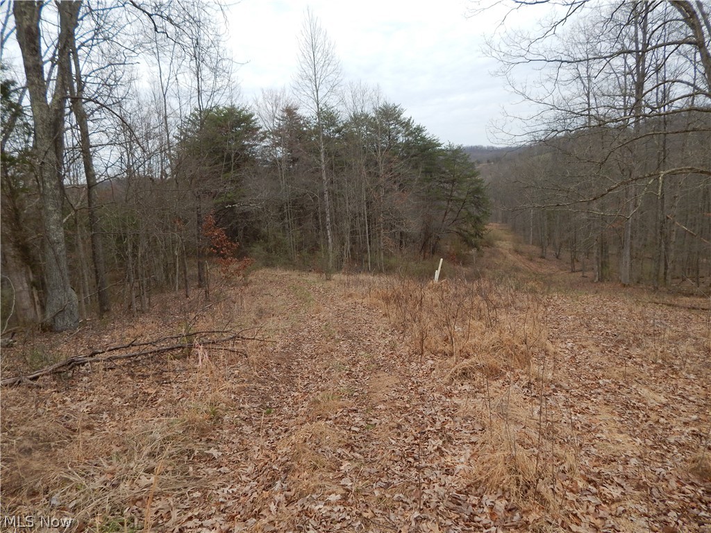 Lick Run Road Smithville, WV 26178 - Photo 28 of 30