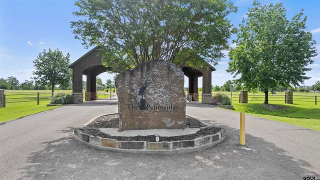 a view of a park with large trees