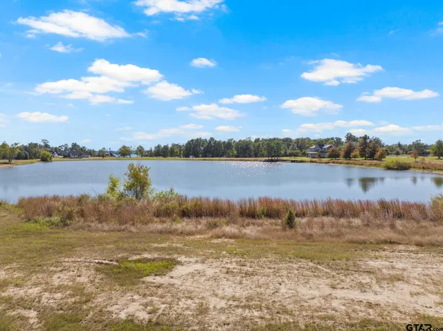 a view of a lake with houses in the back