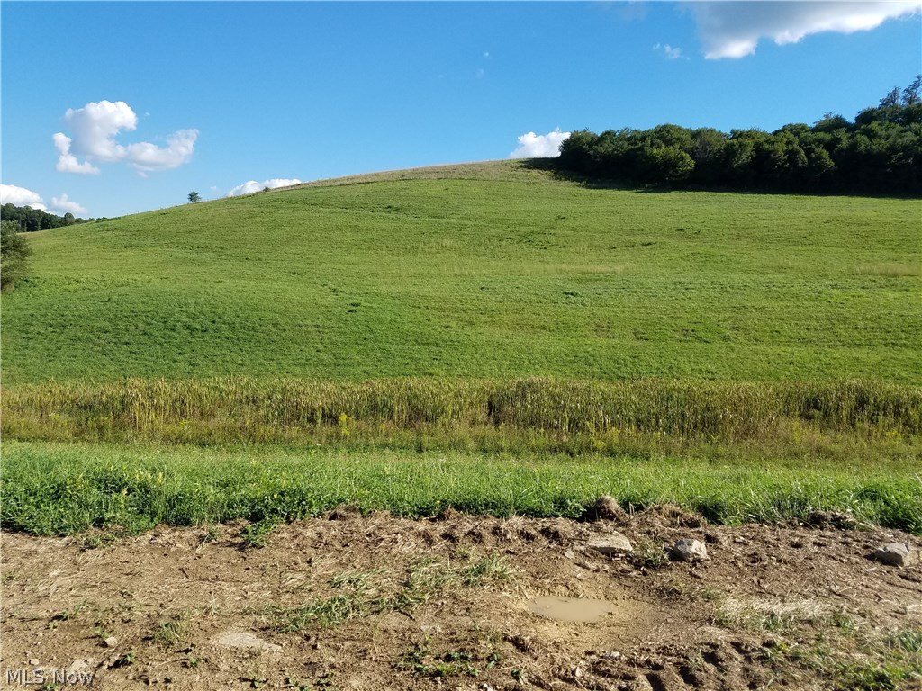 0 Ridge Road Southeast Gnadenhutten, OH 44629 - Photo 7 of 8 Gallery Image 7