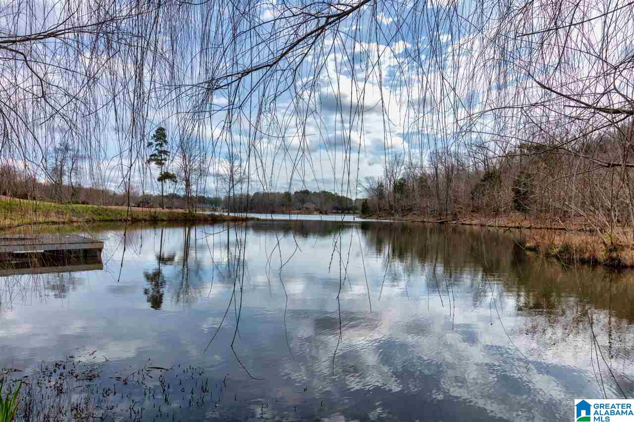 7891 Wynwood Road Trussville, AL 35173 - Photo 7 of 48
