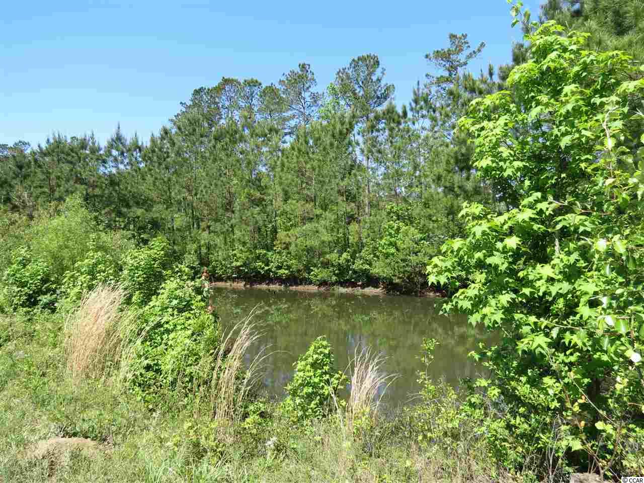 59 Williams Hill Road Hemingway, SC 29554 - Photo 21 of 25 Gallery Image 21