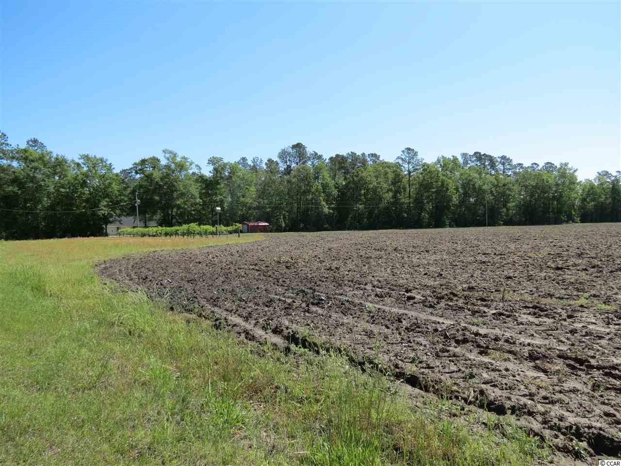 59 Williams Hill Road Hemingway, SC 29554 - Photo 23 of 25 Gallery Image 23