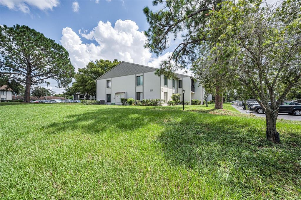 2642 Pine Ridge Way South, Unit D2 Palm Harbor, FL 34684 - Photo 36 of 63
