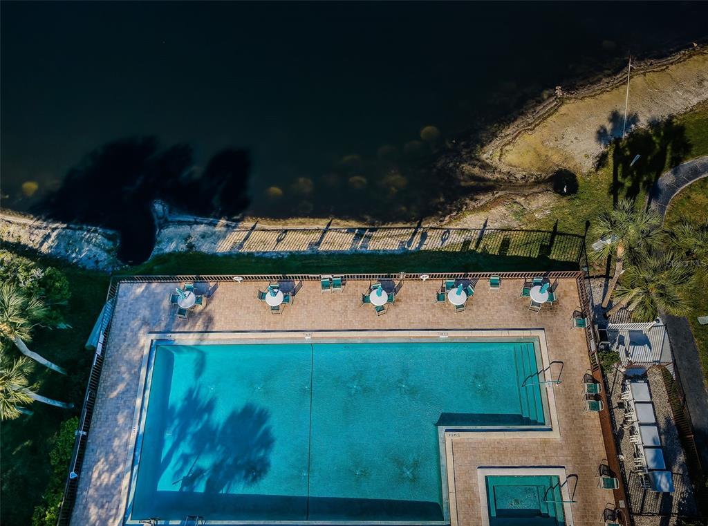 2642 Pine Ridge Way South, Unit D2 Palm Harbor, FL 34684 - Photo 60 of 63