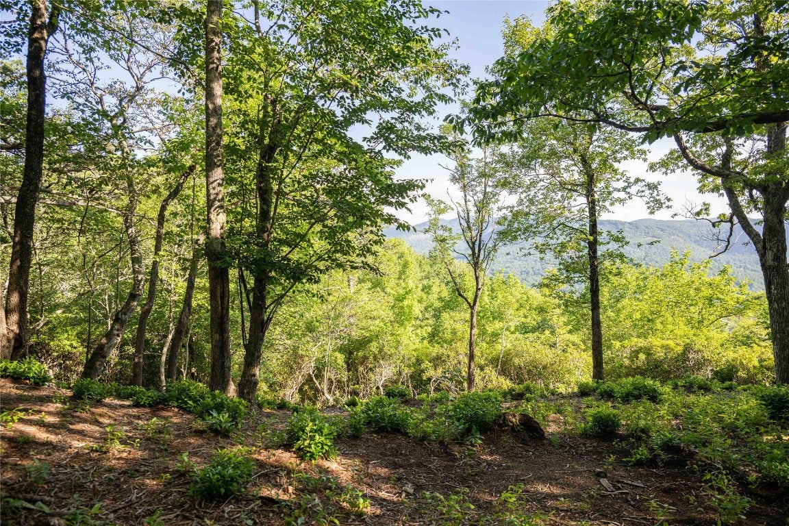 6 Long Wy Road Brevard, NC 28712 - Photo 9 of 21 Gallery Image 9