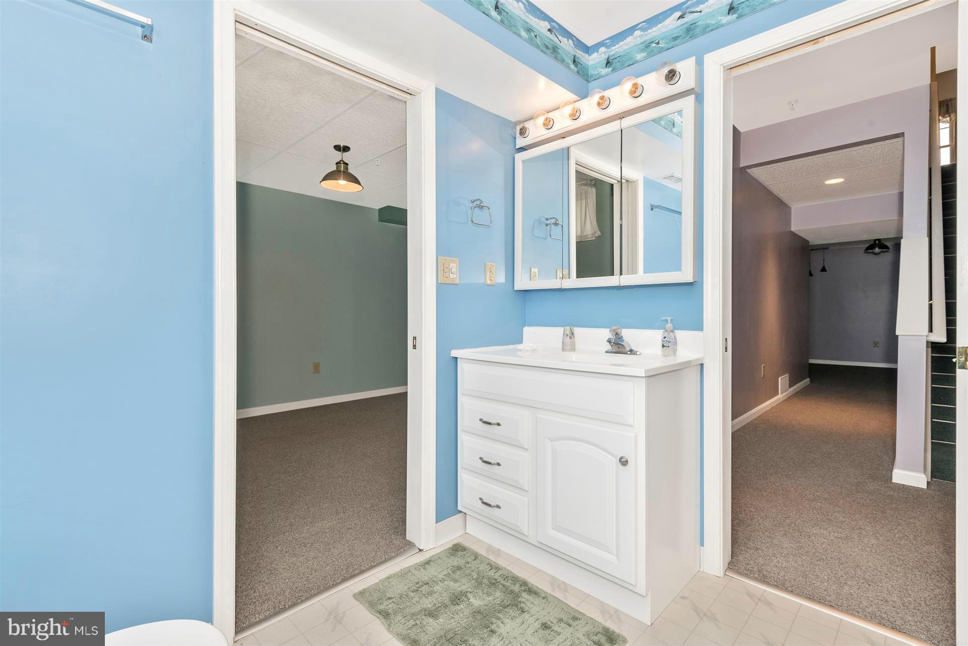 2228 Bear Den Road Frederick, MD 21701 - Photo 25 of 30 Basement