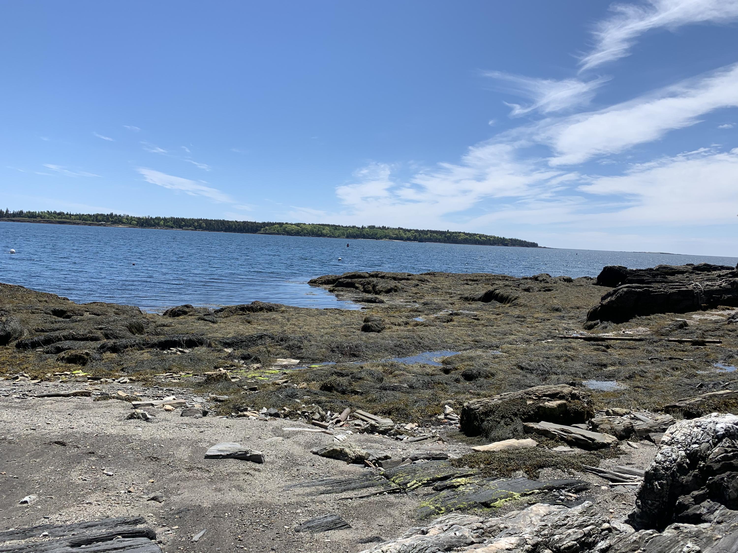 67 Church Road Cliff Island, ME 04019 - Photo 20 of 20 20