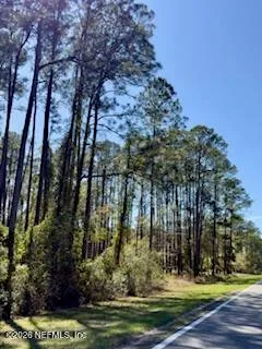 $14,000 | 251 Georgetown Denver Road, Georgetown, FL 32139