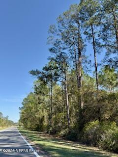 251 Georgetown Denver Road Georgetown, FL 32139 - Photo 2 of 5 a view of a yard