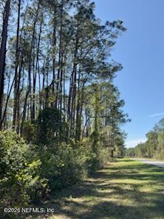 251 Georgetown Denver Road Georgetown, FL 32139 - Photo 5 of 5 a view of a grassy area with an trees