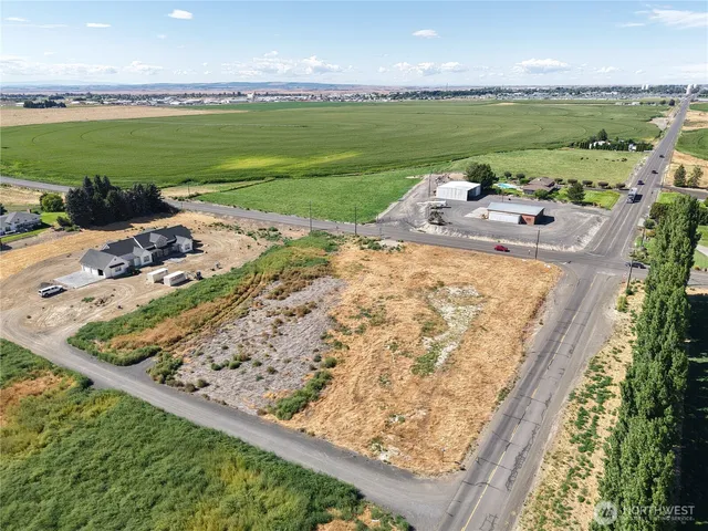 a view of a yard with plants