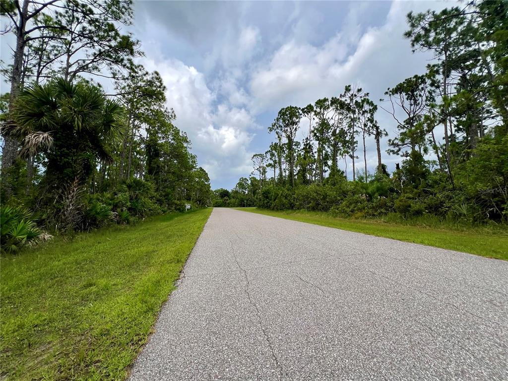 13232 Finkle Avenue Port Charlotte, FL 33981 - Photo 2 of 4 a view of a park and trees