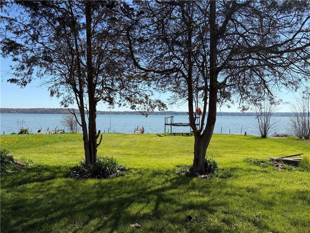 0 Lower Lake Road Seneca Falls, NY 13148 - Photo 13 of 19