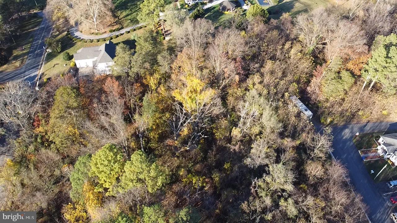 Warren Avenue Front Royal, VA 22630 - Photo 3 of 7 a close up of a tree