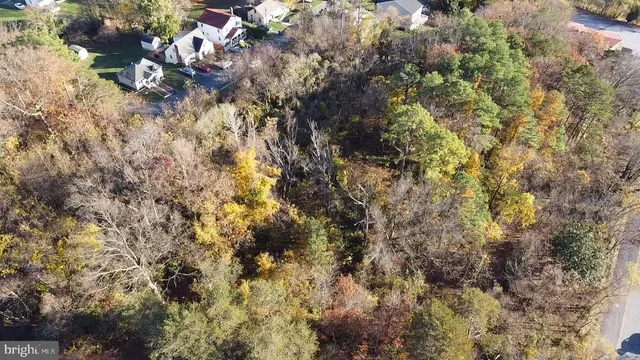 a view of a tree in a yard