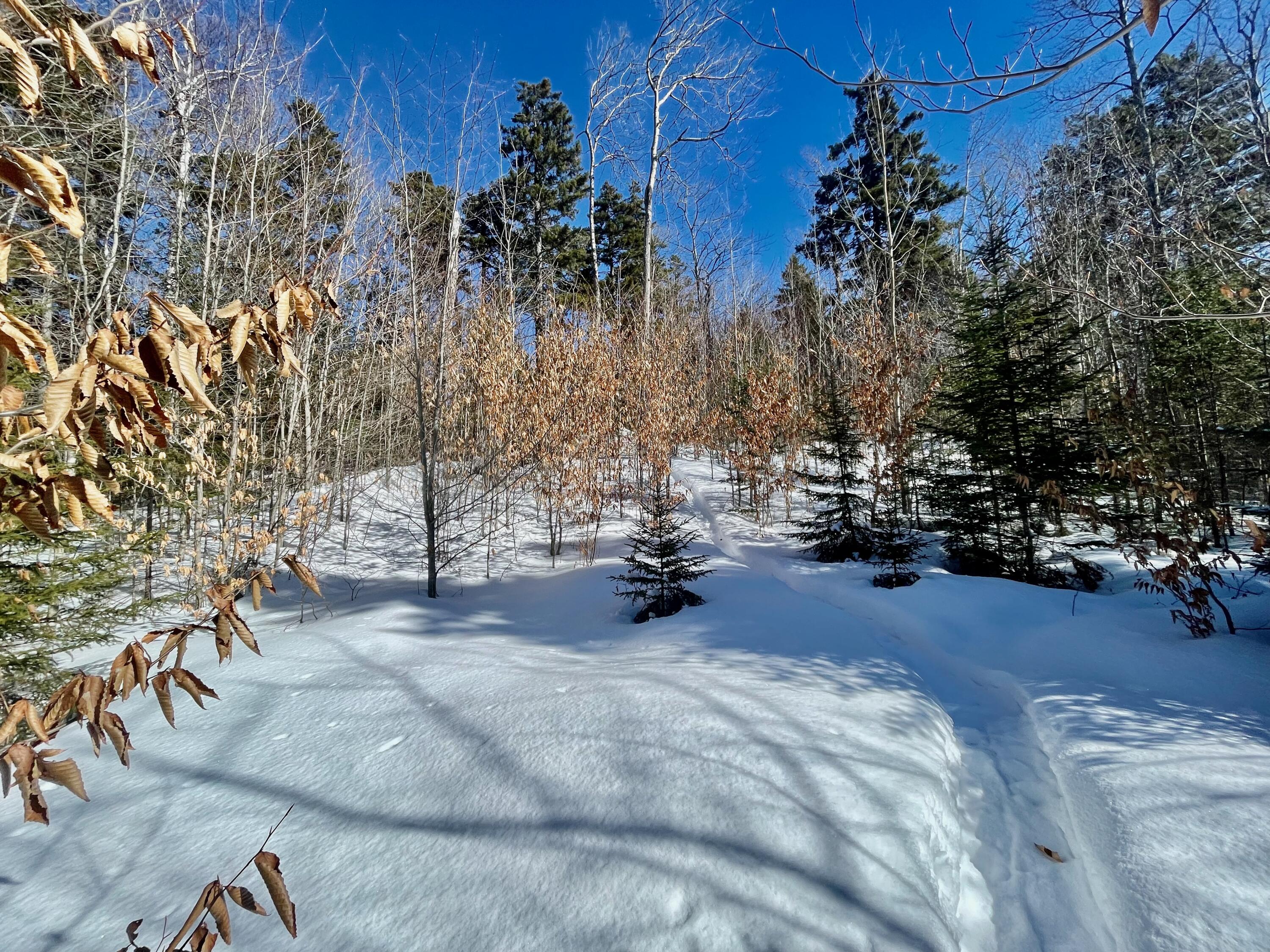 2020-2022 Pond Road Carrabassett Valley, ME 04947 - Photo 6 of 17 IMG_4201