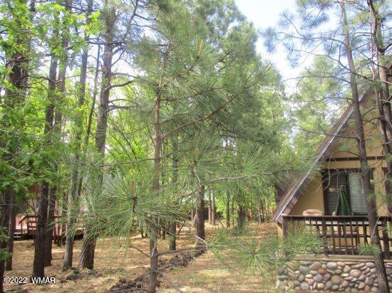 4257 Bridle Path Loop Pinetop, AZ 85935 - Photo 3 of 30