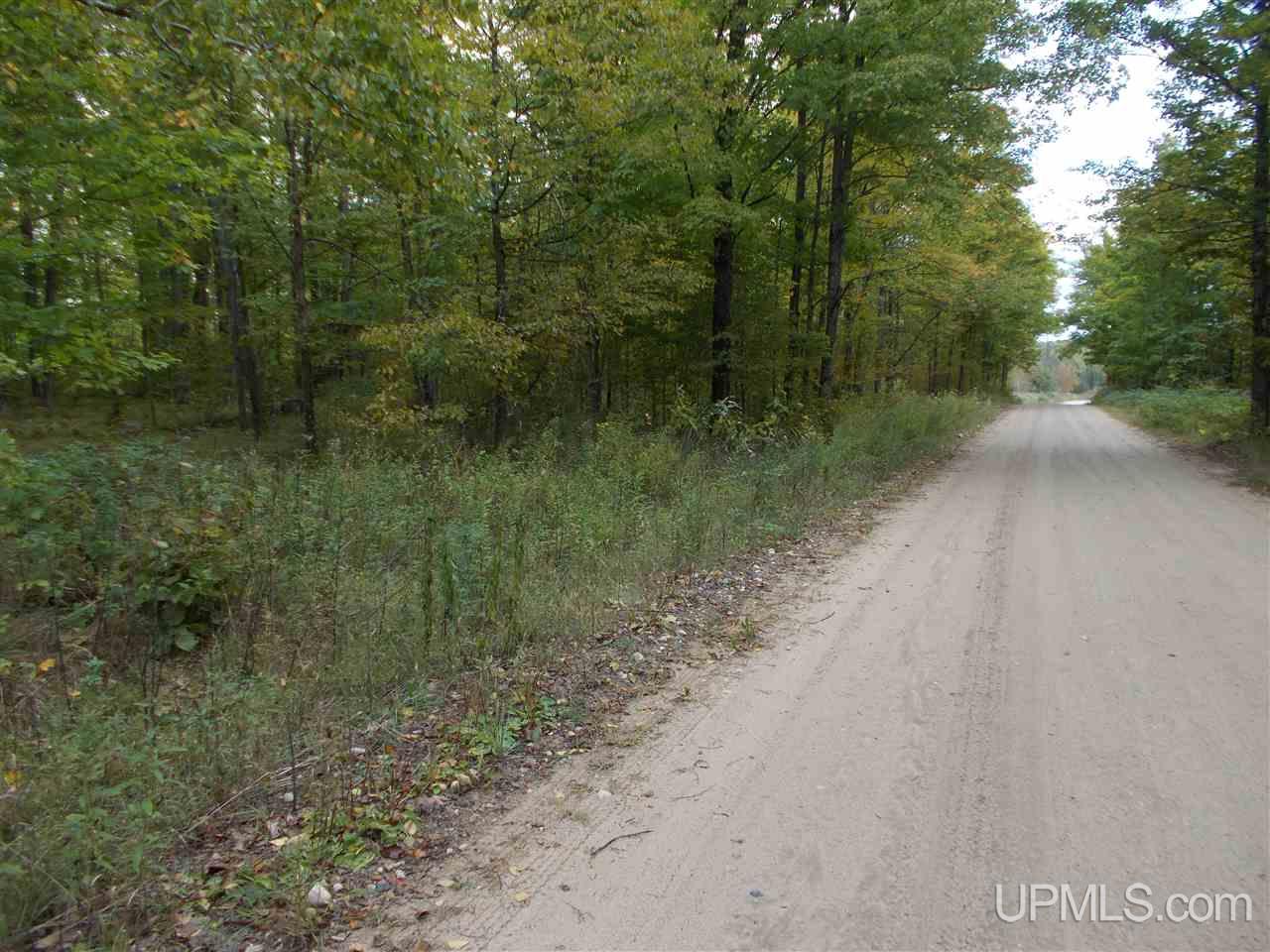 50-acres Camp Nine Road Ralph, MI 49877 - Photo 4 of 12