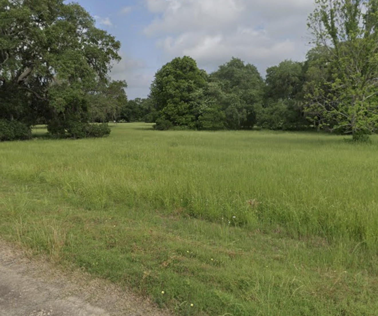 437 Springfield Drive Angleton, TX 77515 - Photo 3 of 3 a view of a field with a trees in the background