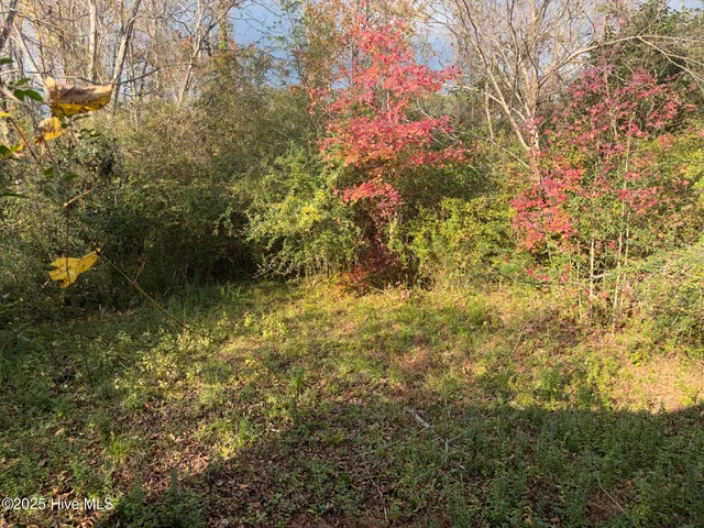 $26,000 | 413 Brinkley Avenue, Plymouth, NC 27962