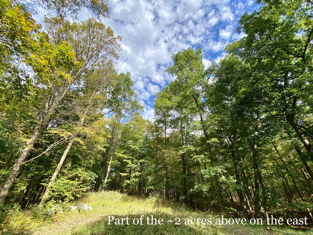 1659 Honoco Road Ledyard, NY 13026 - Photo 6 of 50