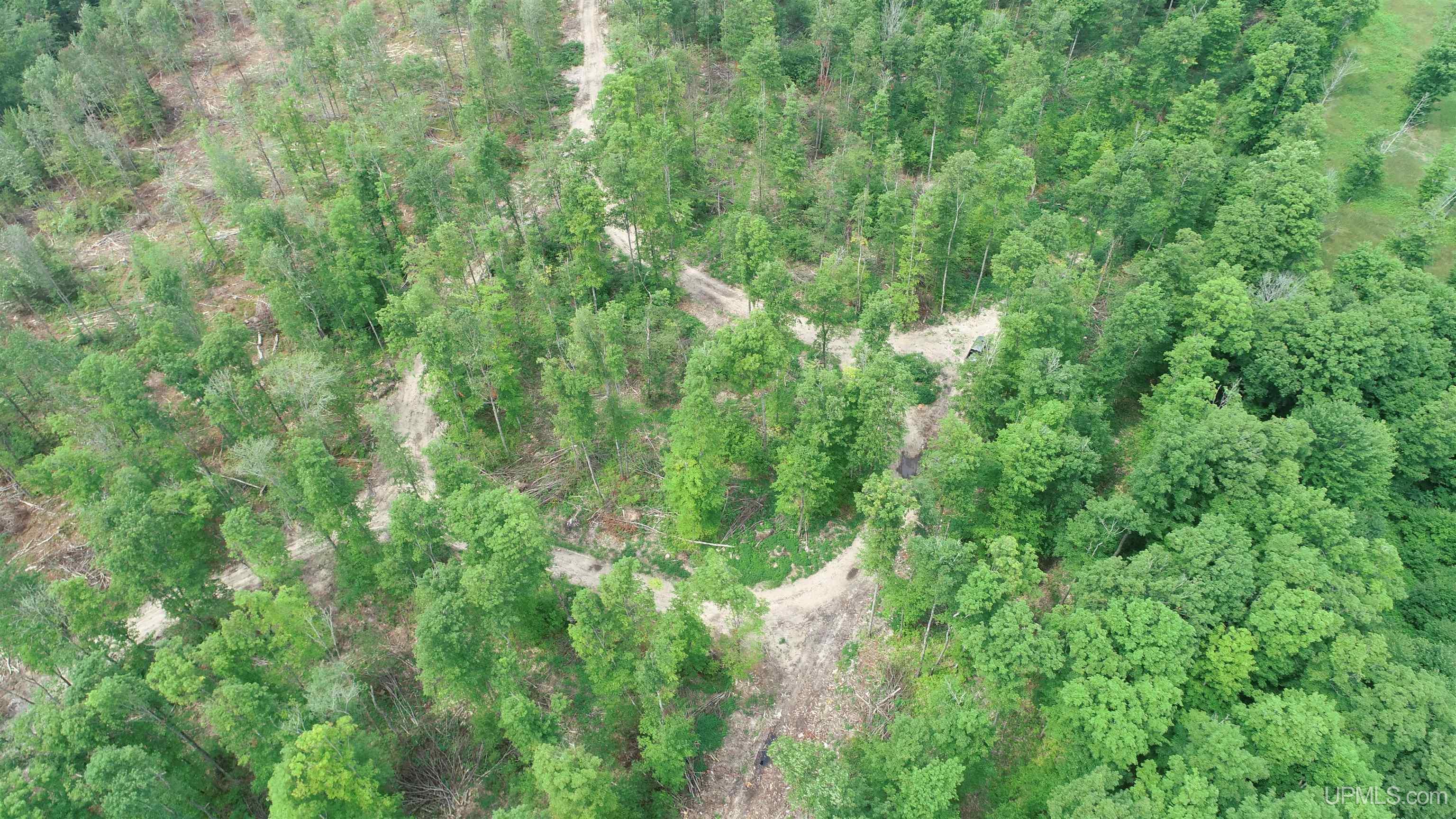 23 Camp 23 Road, Unit SOUTH PARCEL Germfask, MI 49836 - Photo 4 of 9