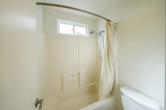 a bathroom with a shower and a toilet