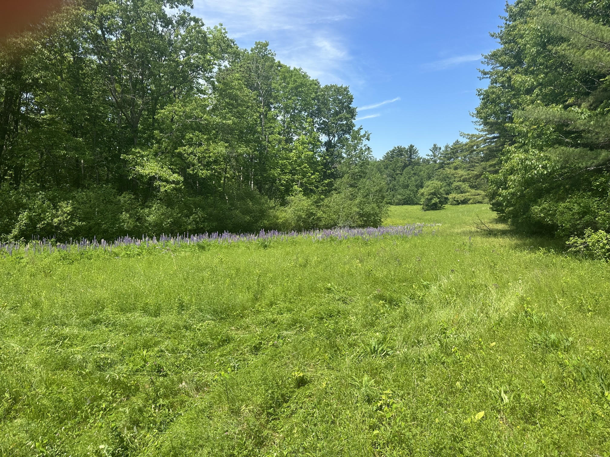 37 Herrick Road Belfast, ME 04915 - Photo 10 of 14 11
