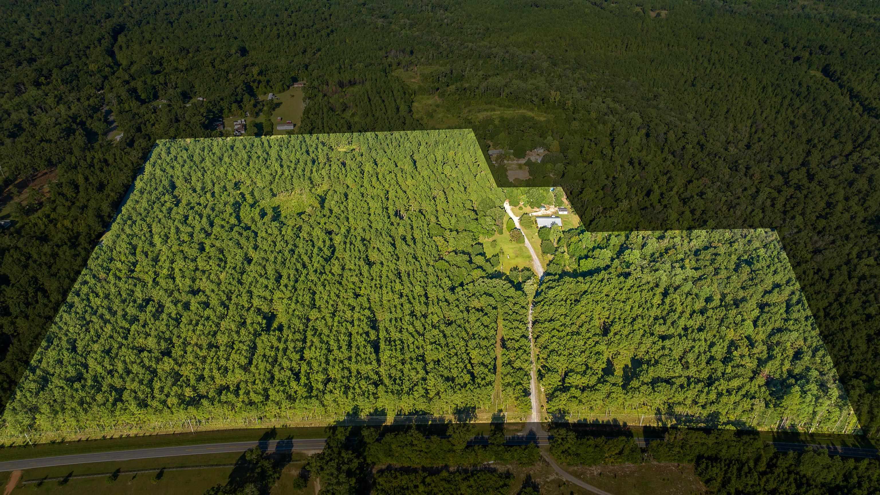 9350 Tompkins Road Stockton, AL 36579 - Photo 2 of 36 Aerial overview of property's location featuring a heavily wooded area