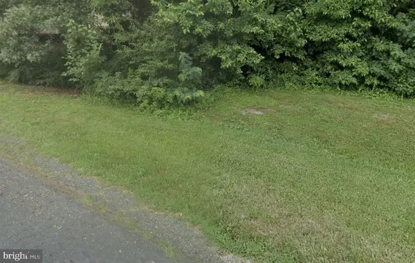 a view of a field with a tree