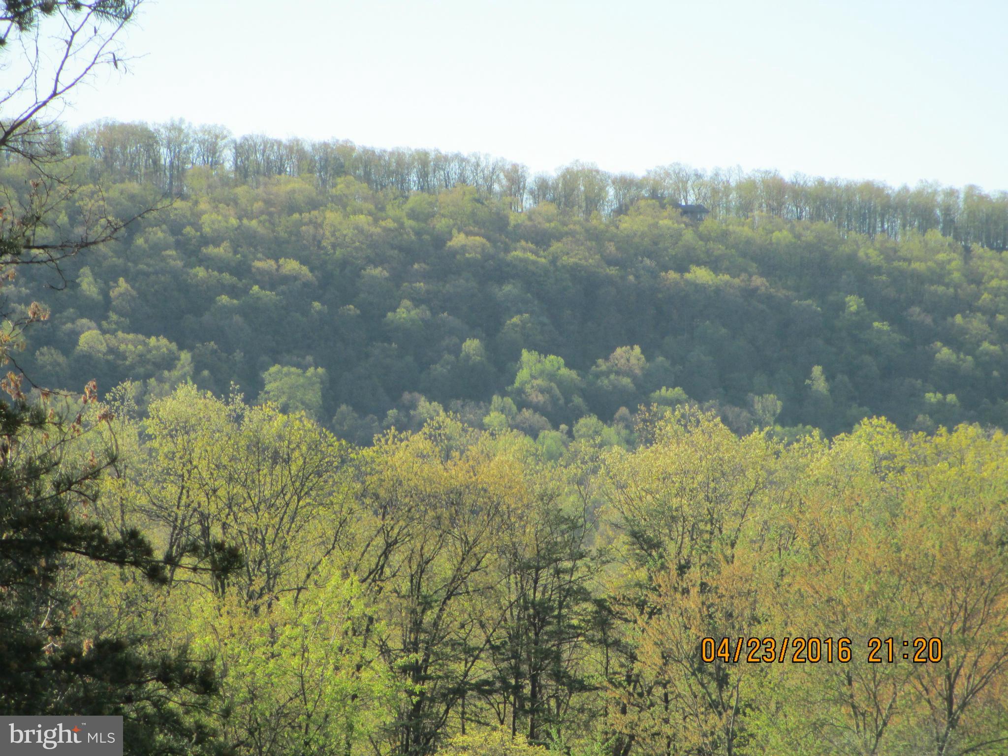 Basil Lane Gerrardstown, WV 25420 - Photo 2 of 8 View