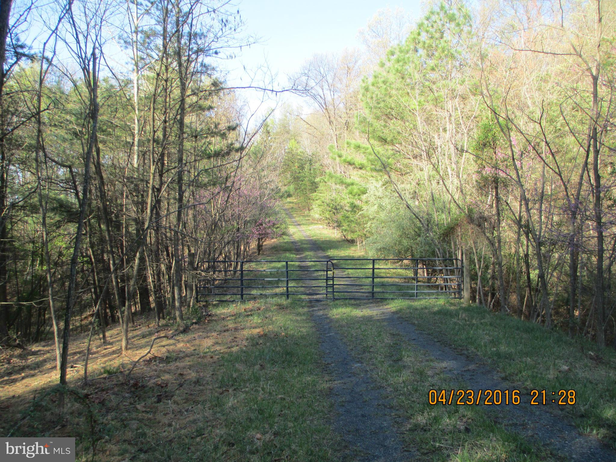 Basil Lane Gerrardstown, WV 25420 - Photo 3 of 8 View