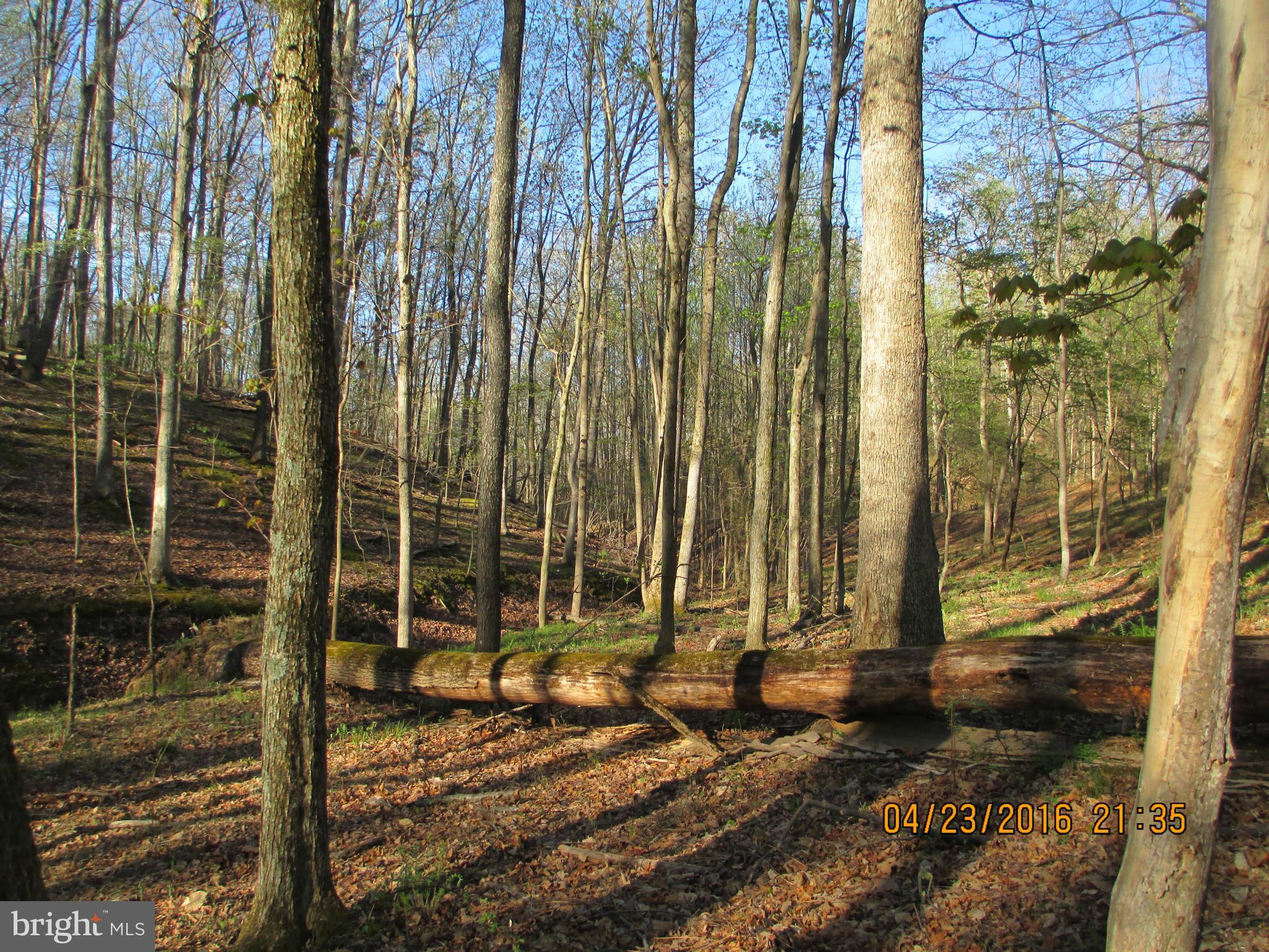 Basil Lane Gerrardstown, WV 25420 - Photo 4 of 8 View