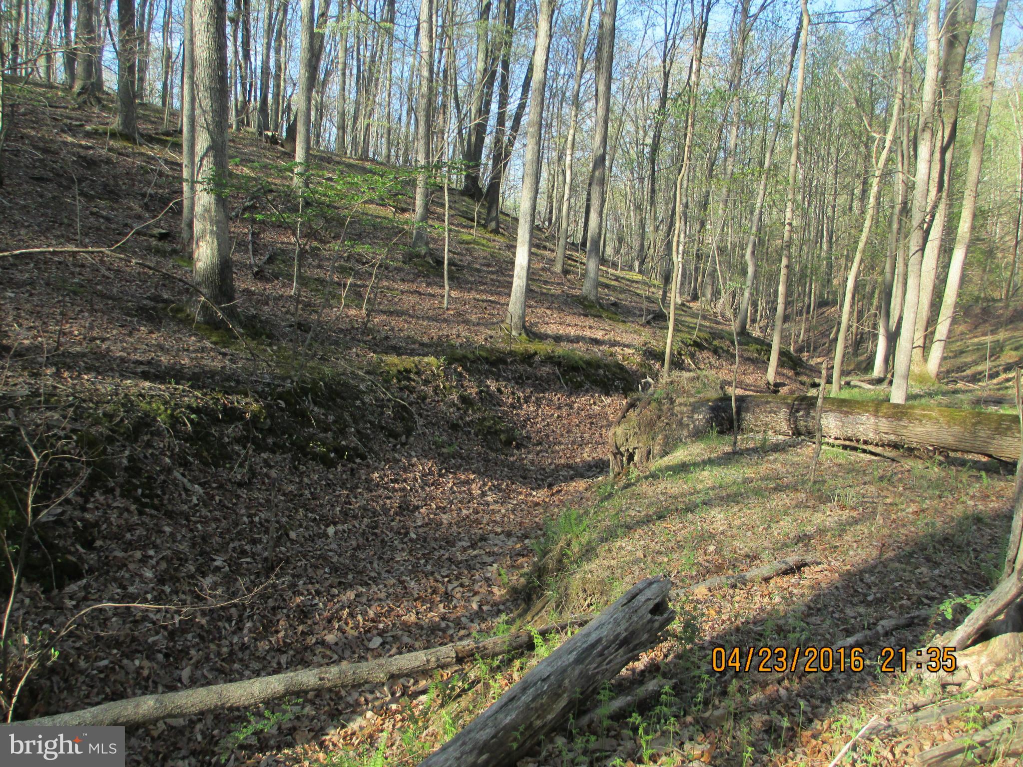 Basil Lane Gerrardstown, WV 25420 - Photo 5 of 8 View