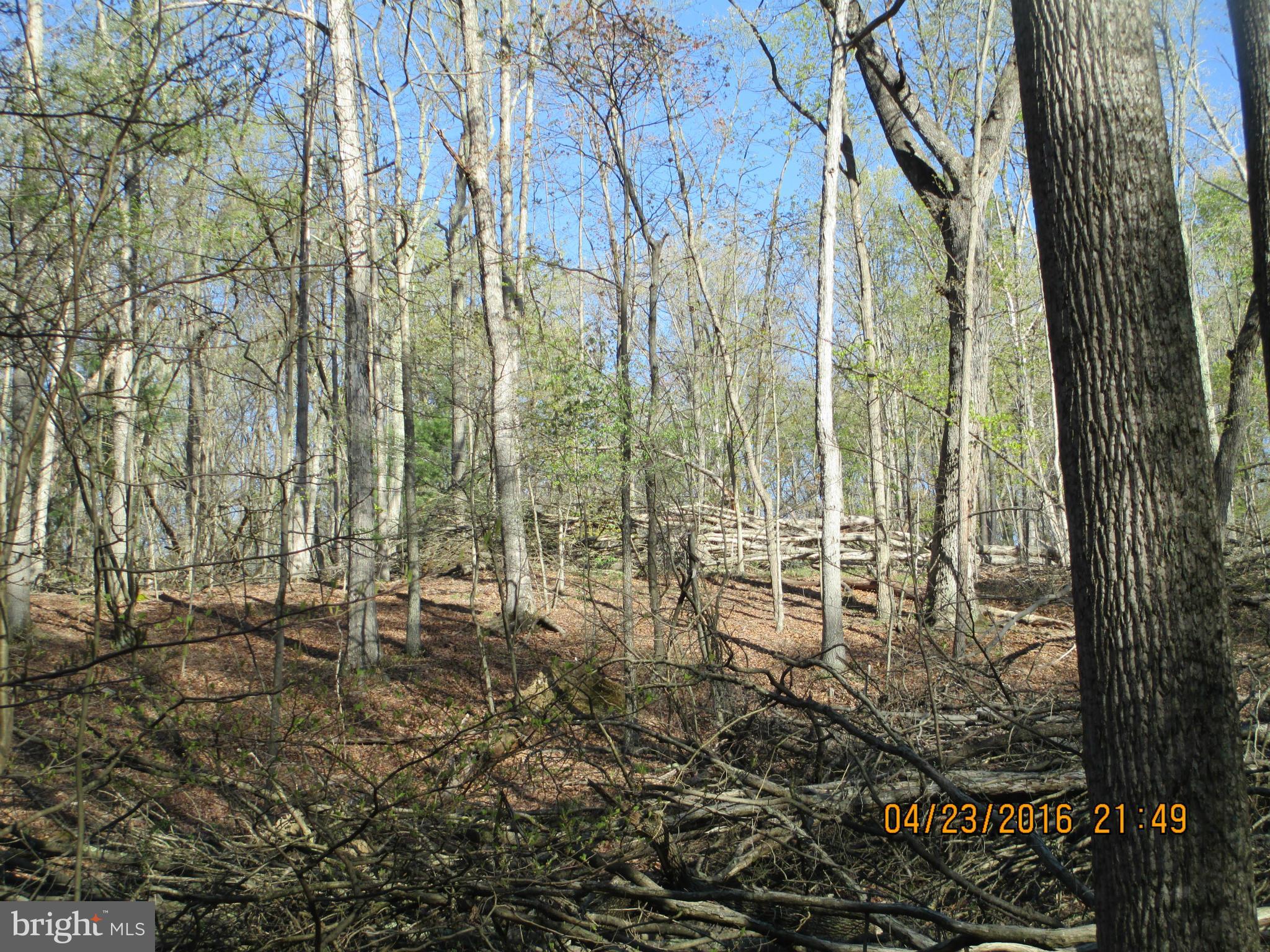 Basil Lane Gerrardstown, WV 25420 - Photo 6 of 8 View