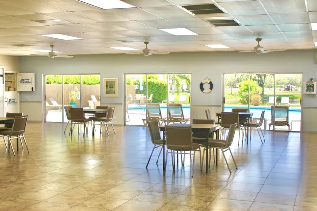 a view of a tennis ground with large trees