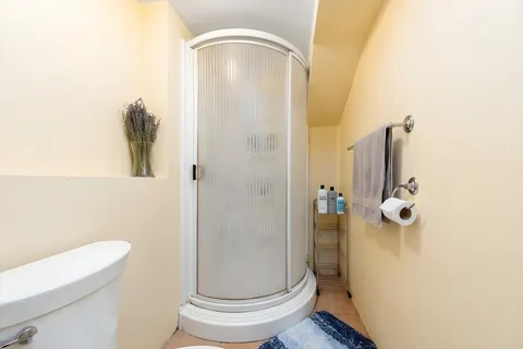 view of bathroom with a shower