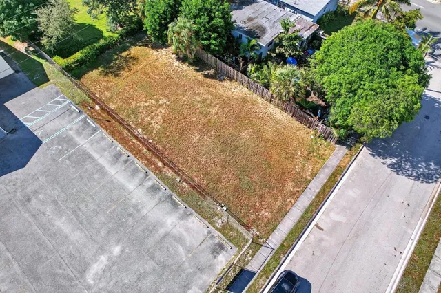 a view of a backyard with plants