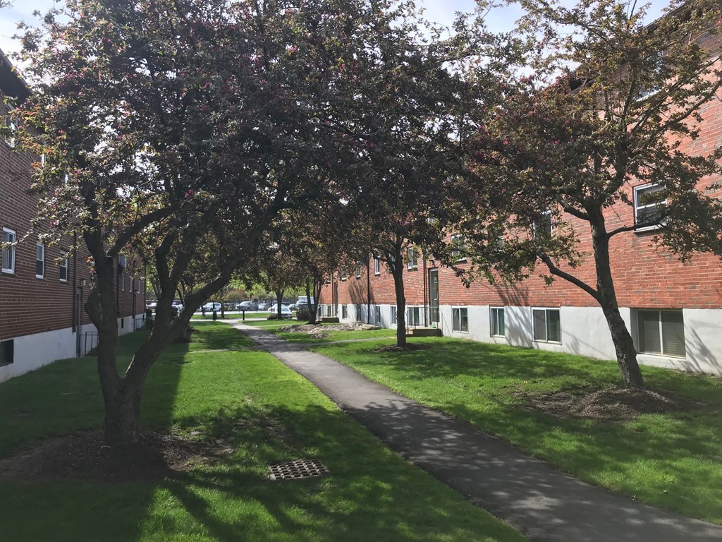 36 Bryon Road, Unit 1 Boston, MA 02467 - Photo 3 of 10 a view of a park with large trees