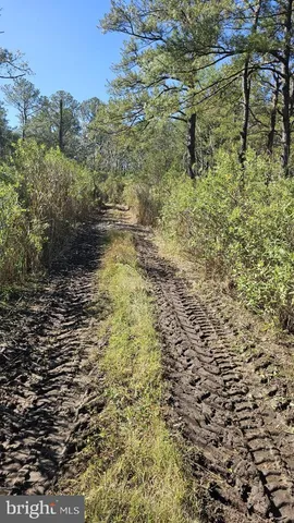 a view of a house with garden and a bench