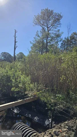 a view of an entryway