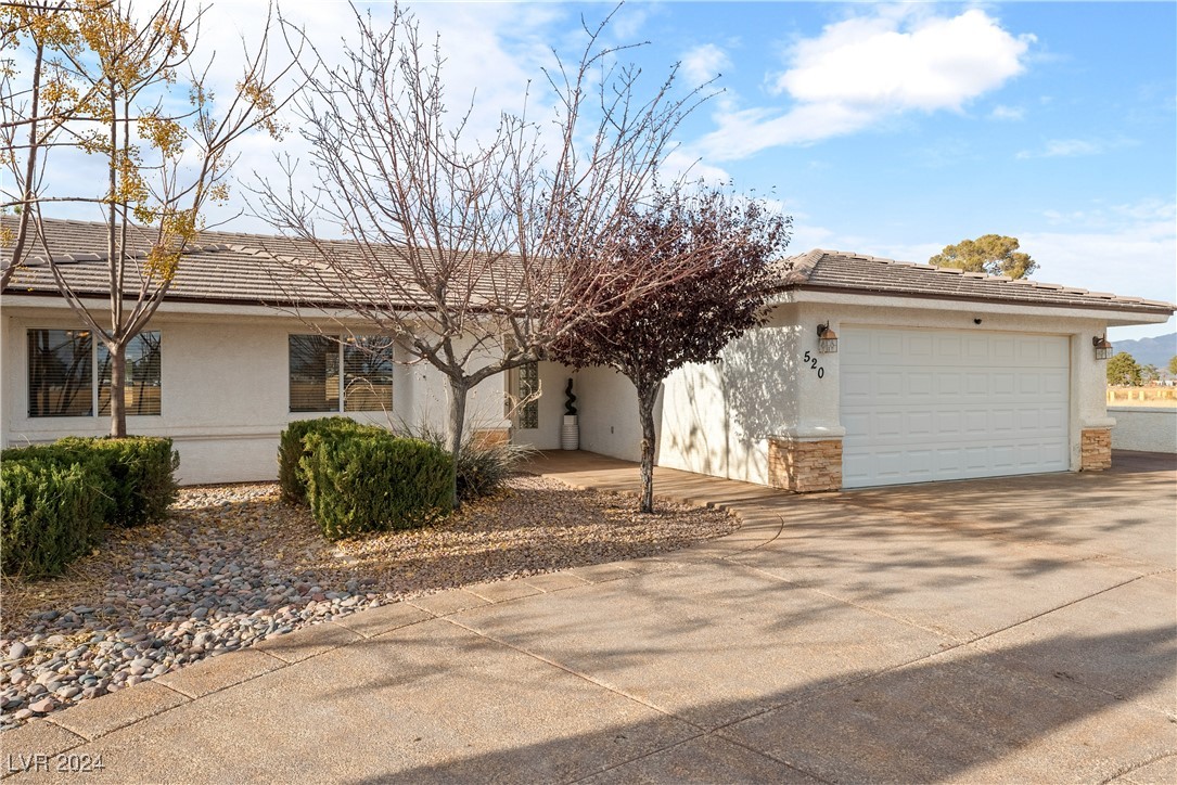 520 East Bellville Road Pahrump, NV 89048 - Photo 45 of 66 Gallery Image 45