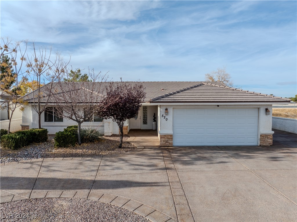 520 East Bellville Road Pahrump, NV 89048 - Photo 46 of 66 Gallery Image 46