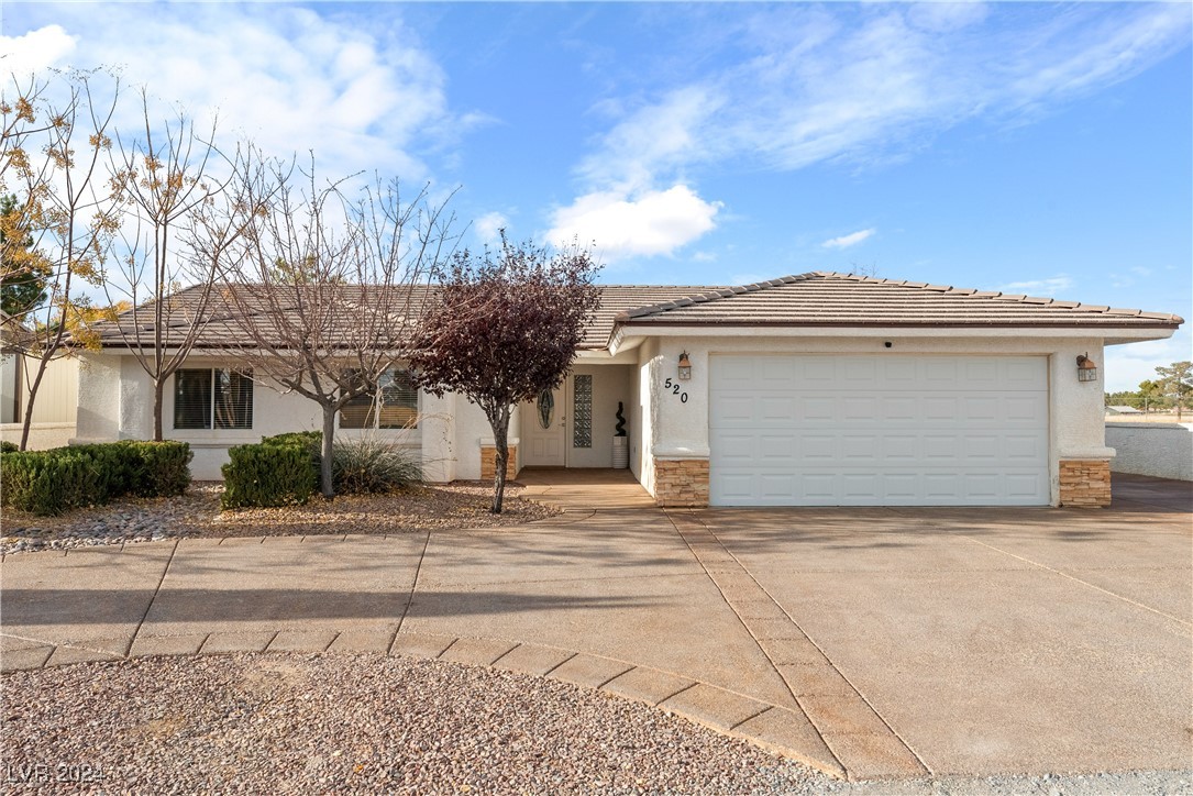 520 East Bellville Road Pahrump, NV 89048 - Photo 50 of 66 Gallery Image 50
